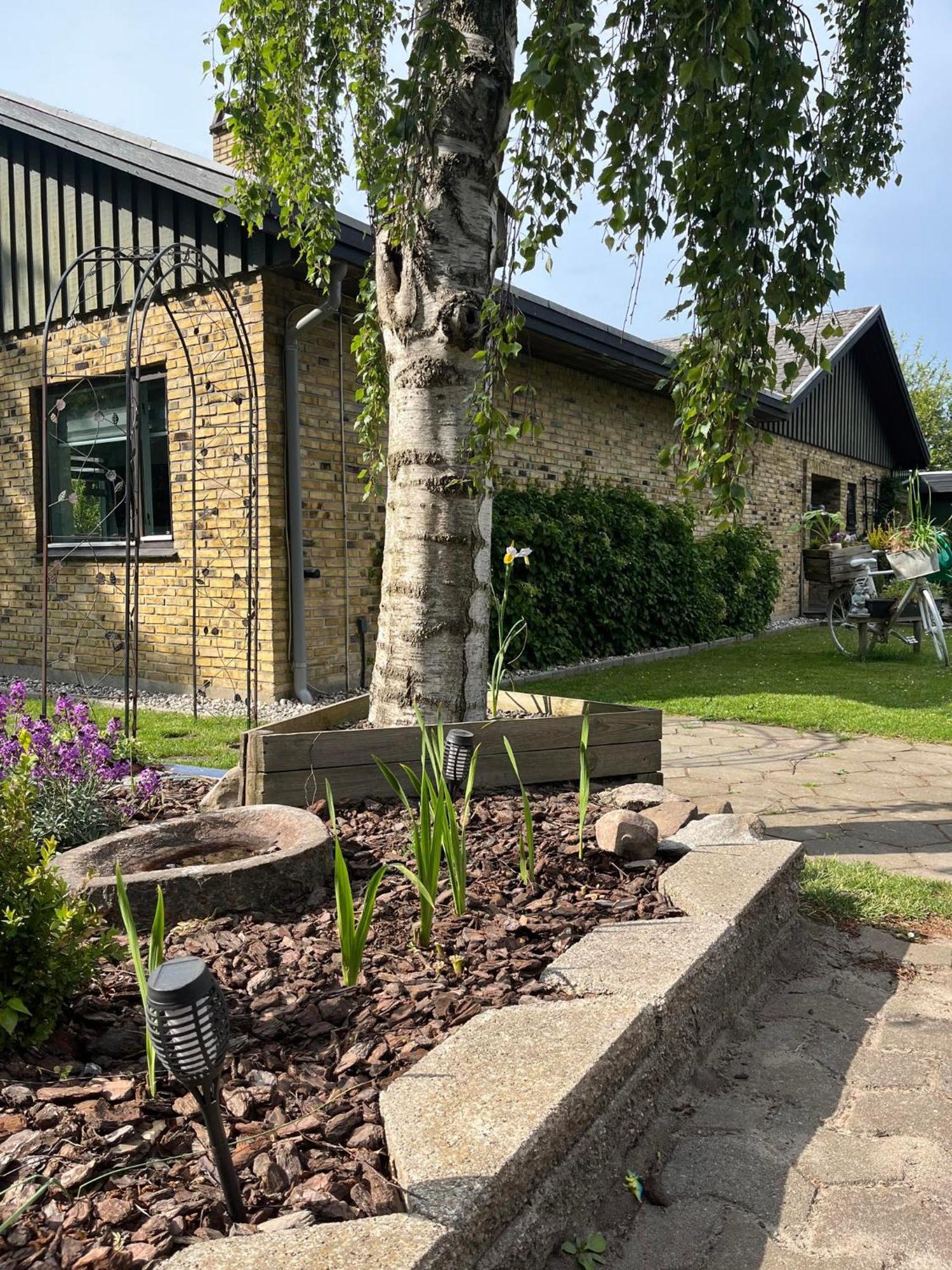 The Dream Villa Rodby Exterior photo